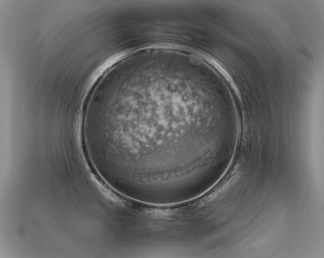 X0000113591245200909181325