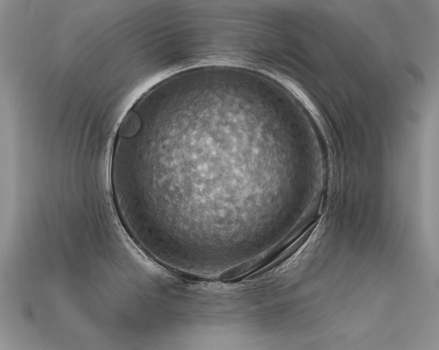 X0000113591246200909181325