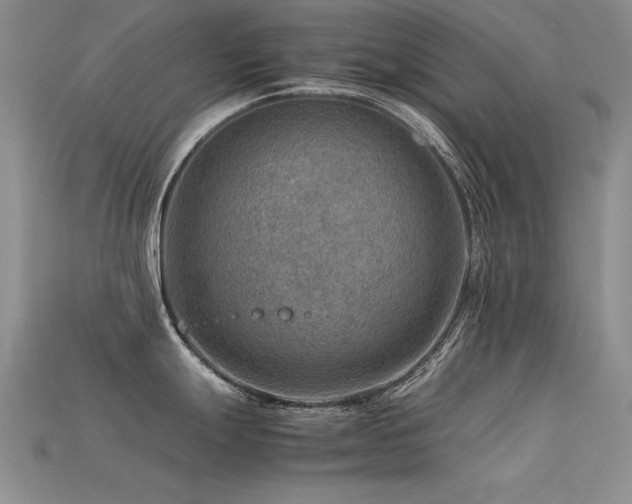 X0000113591247200909181325