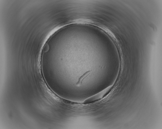 X0000113591248200909181325