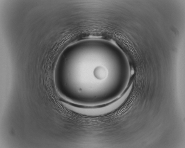 X0000113591249200909181324