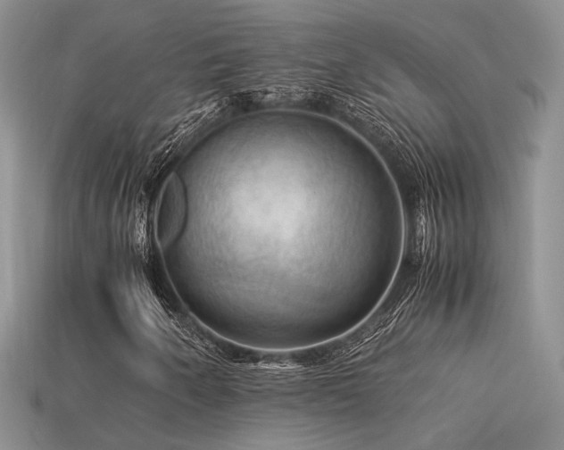 X0000113591250200909181324