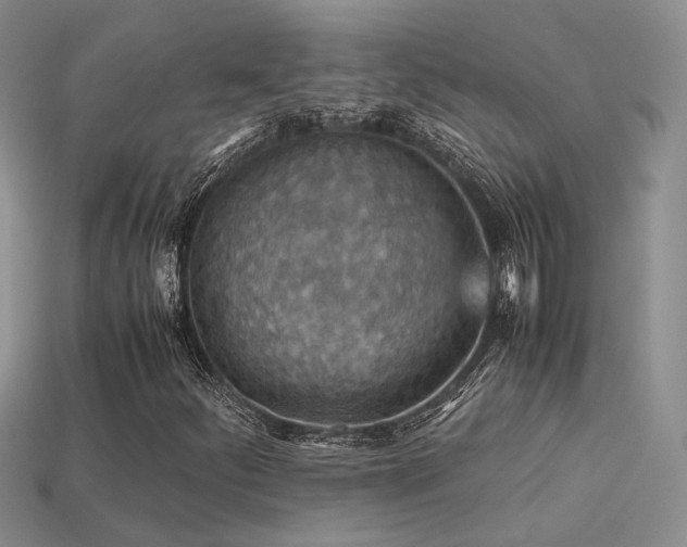 X0000113591252200909181324