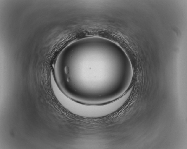 X0000113591253200909181324