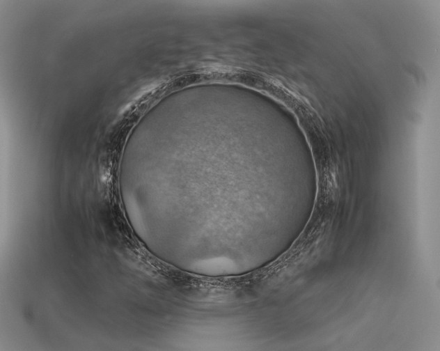 X0000113591254200909181324