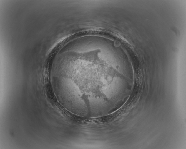 X0000113591255200909181324