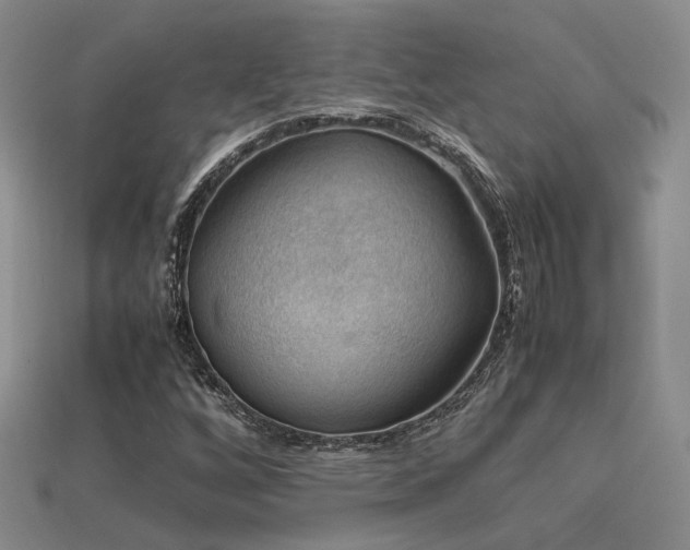 X0000113591256200909181324