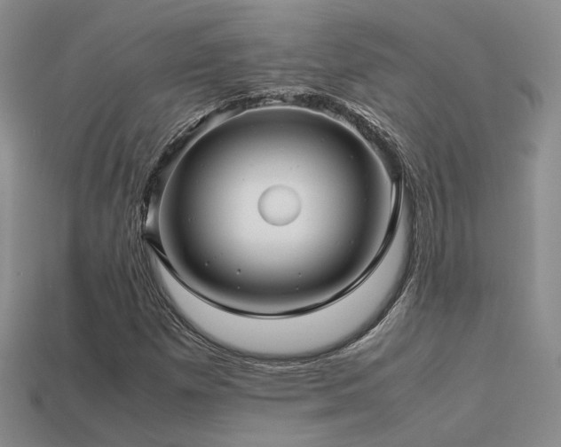 X0000113591257200909181324