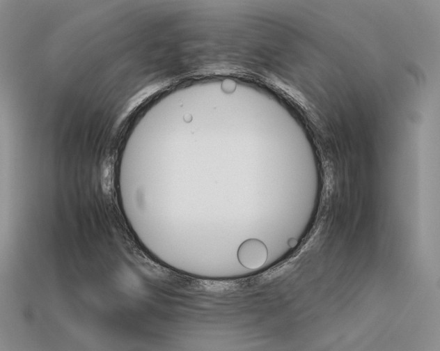 X0000113591258200909181324