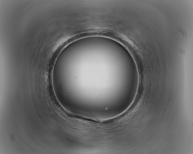 X0000113591259200909181324