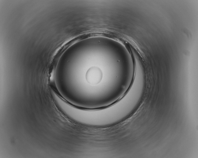 X0000113591260200909181324