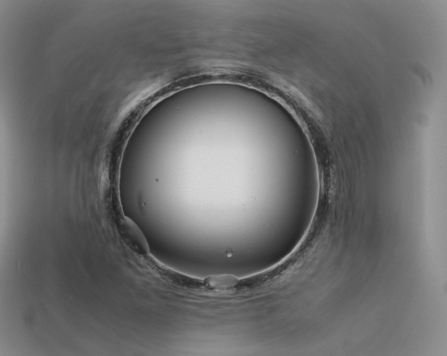 X0000113591261200909181324