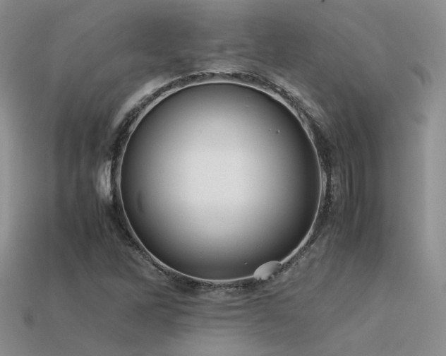 X0000113591262200909181324