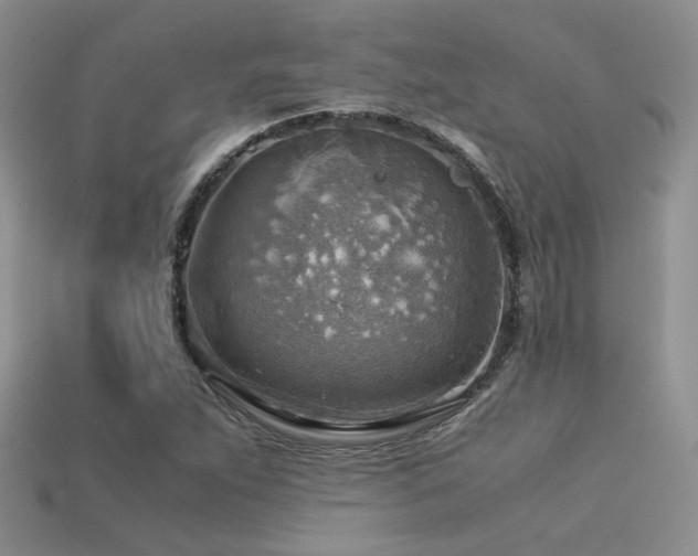 X0000113591263200909181324