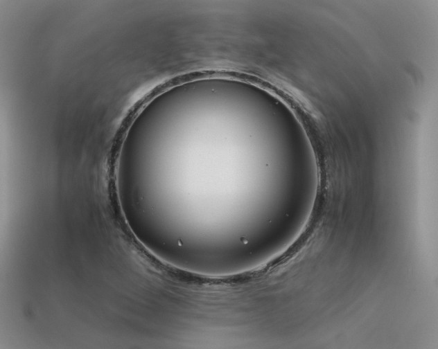 X0000113591264200909181324