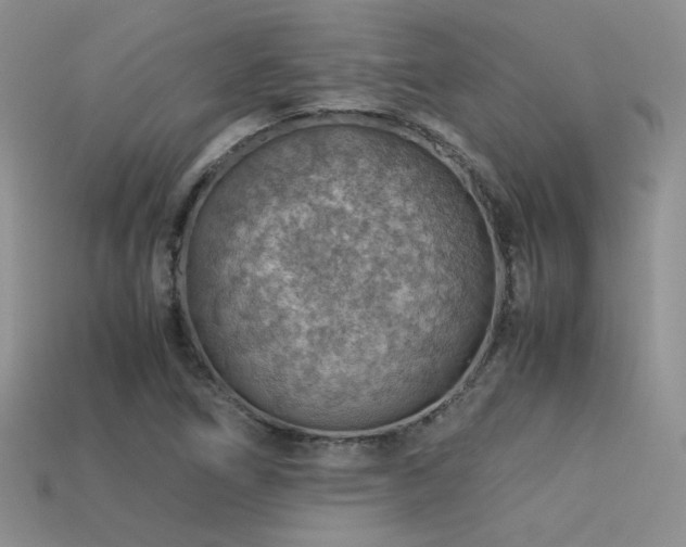 X0000113591266200909181324