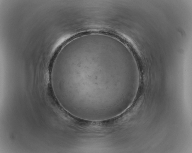 X0000113591267200909181324