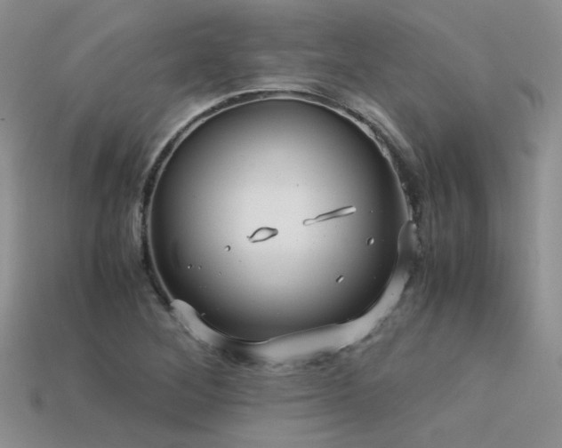 X0000113591268200909181324