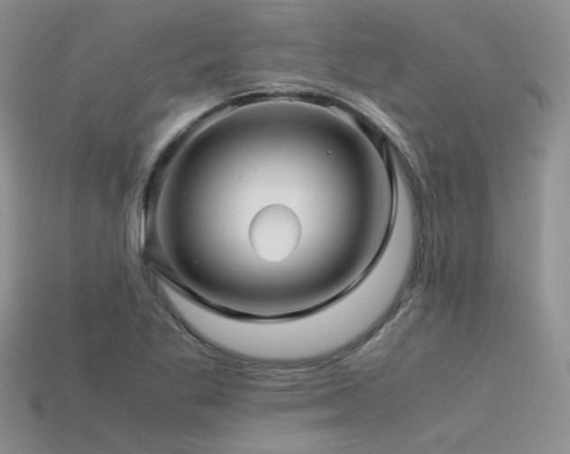 X0000113591269200909181324