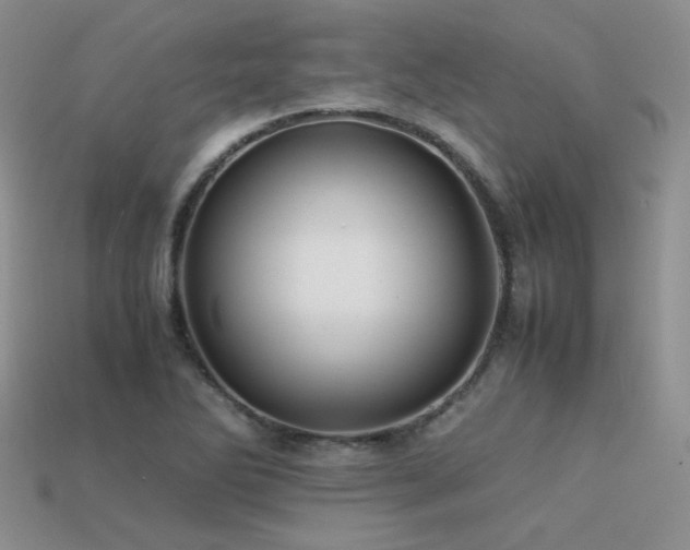 X0000113591270200909181324