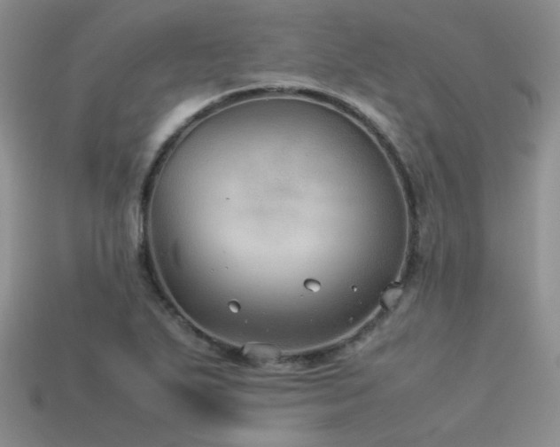 X0000113591271200909181324