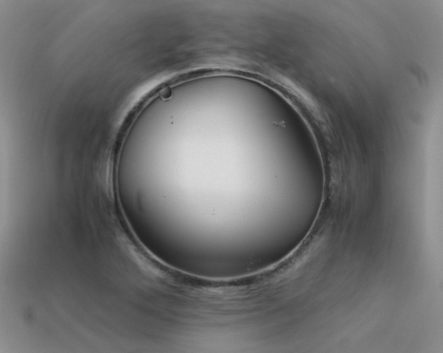 X0000113591272200909181324