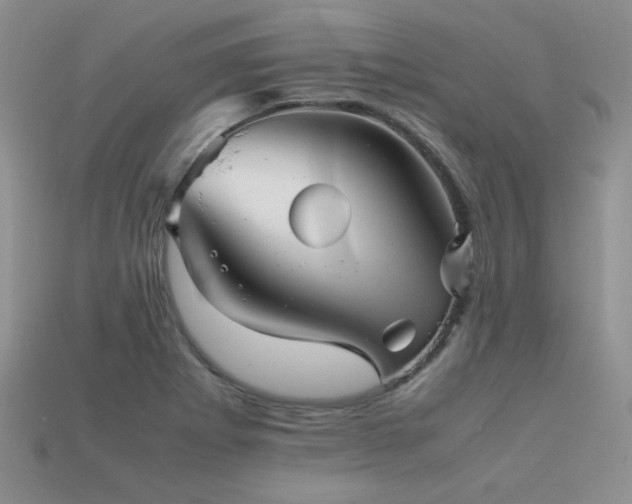 X0000113591273200909181324