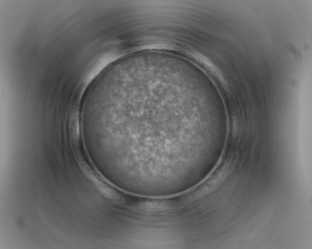 X0000113591274200909181324