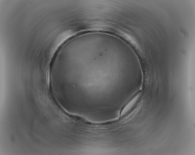 X0000113591275200909181324