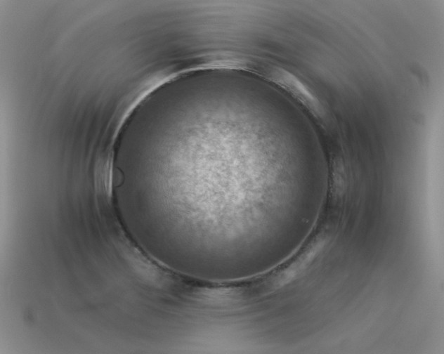 X0000113591276200909181324