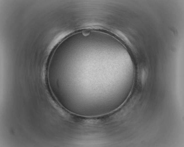 X0000113591277200909181324