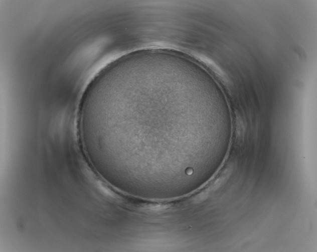 X0000113591278200909181324