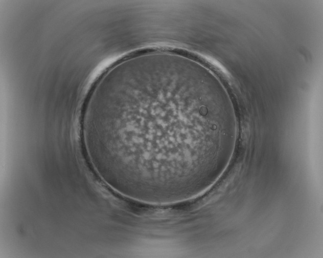 X0000113591279200909181324