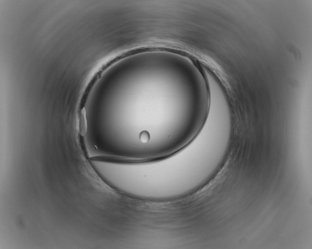 X0000113591280200909181324