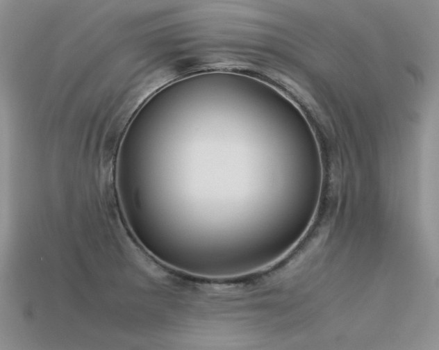 X0000113591281200909181324