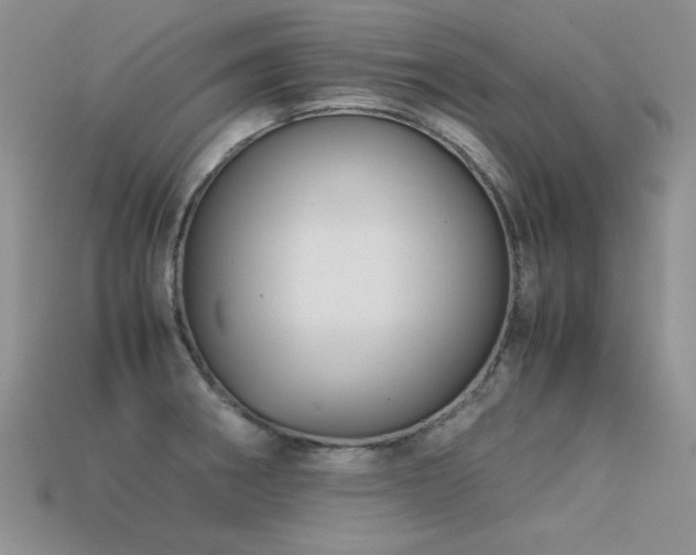 X0000113591282200909181324