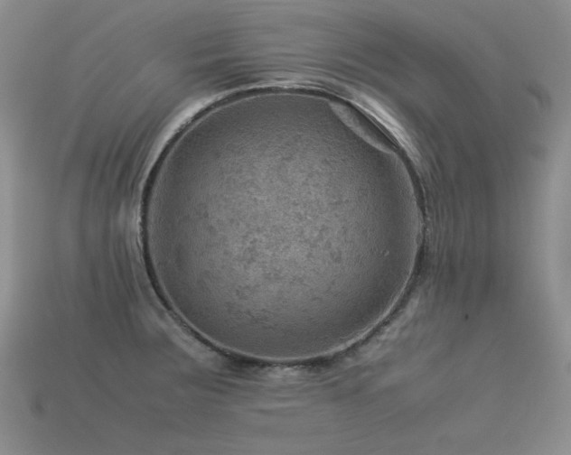 X0000113591283200909181324