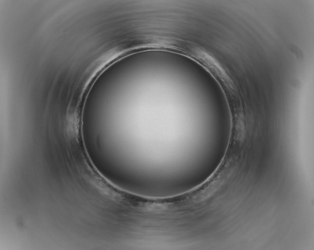 X0000113591284200909181324