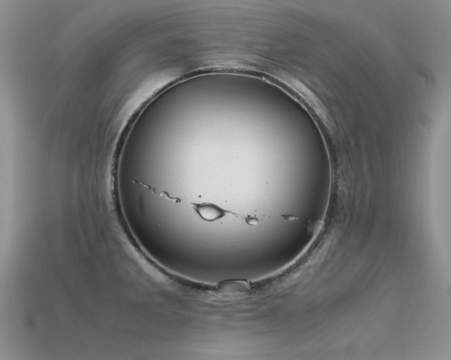 X0000113591285200909181324