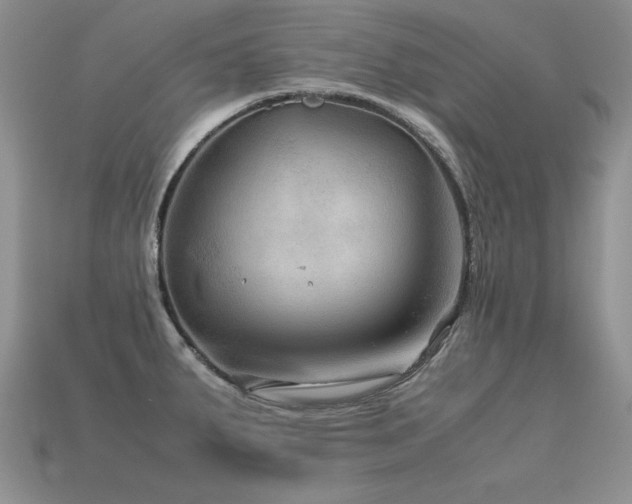 X0000113591287200909181324