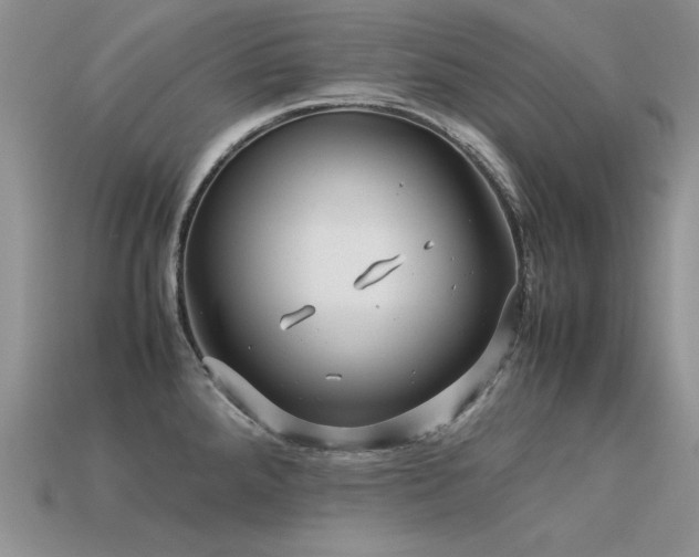 X0000113591288200909181324