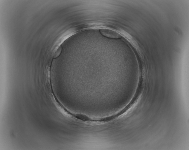 X0000113591289200909181324