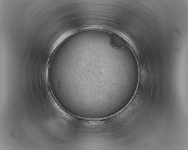 X0000113591290200909181324