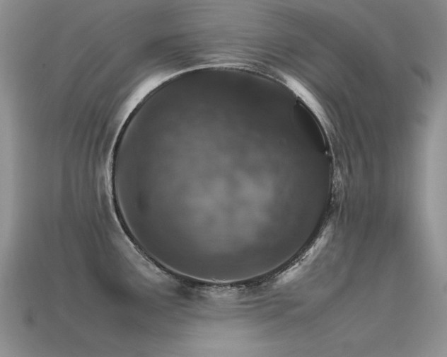 X0000113591291200909181324