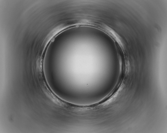 X0000113591292200909181324