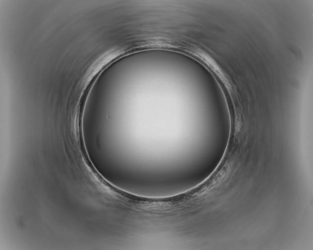 X0000113591293200909181324