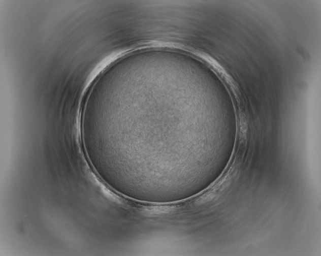 X0000113591294200909181324