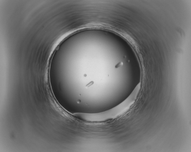 X0000113591296200909181324