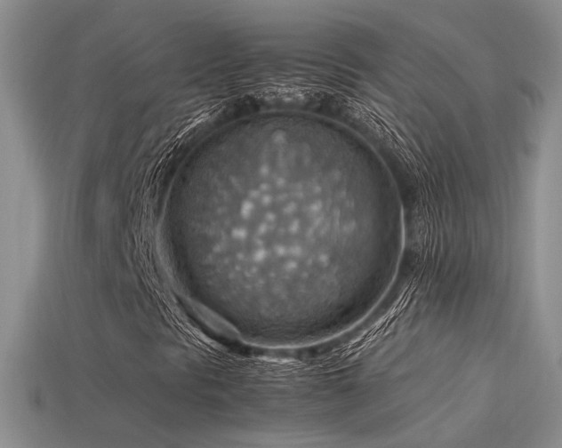 X0000113591297200909181323