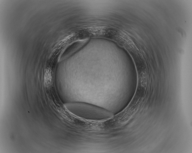 X0000113591298200909181323